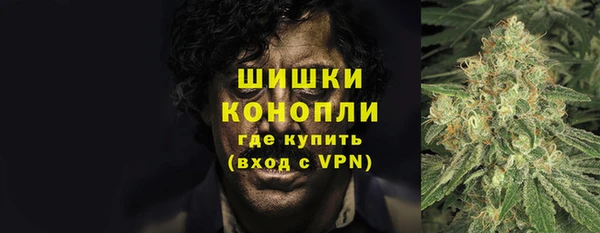 шишки Иннополис