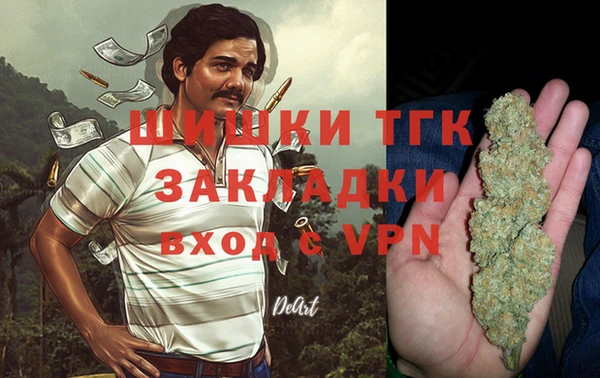 трава Туринск