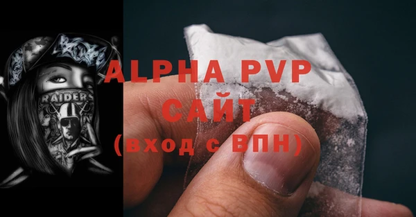 молекула духа Зеленодольск