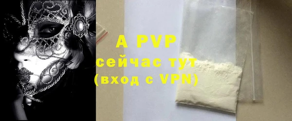 шишки Иннополис