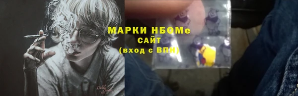 apvp Инта