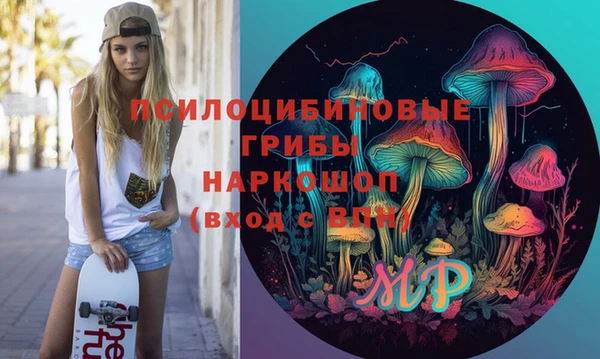 шишки Иннополис