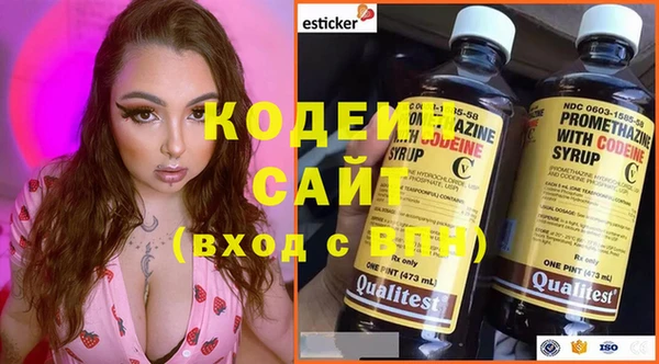 гидра Инсар