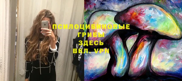 гидра Инсар