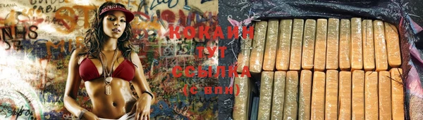 apvp Инта