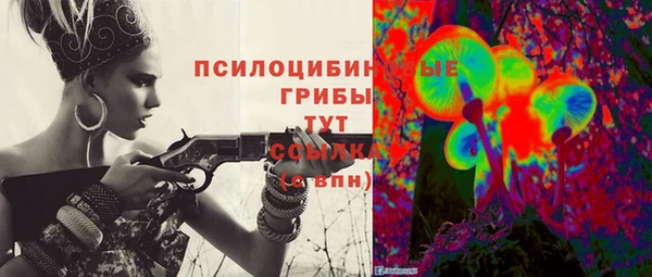 гидра Инсар