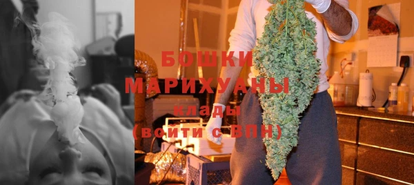 шишки Иннополис