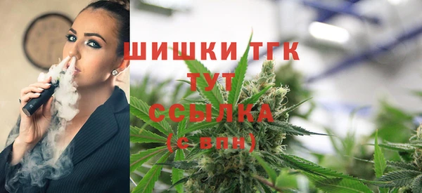 шишки Иннополис