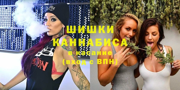 гидра Инсар