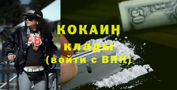 гидра Инсар